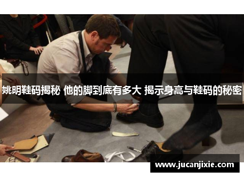 姚明鞋码揭秘 他的脚到底有多大 揭示身高与鞋码的秘密