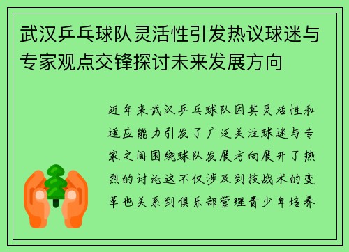 武汉乒乓球队灵活性引发热议球迷与专家观点交锋探讨未来发展方向