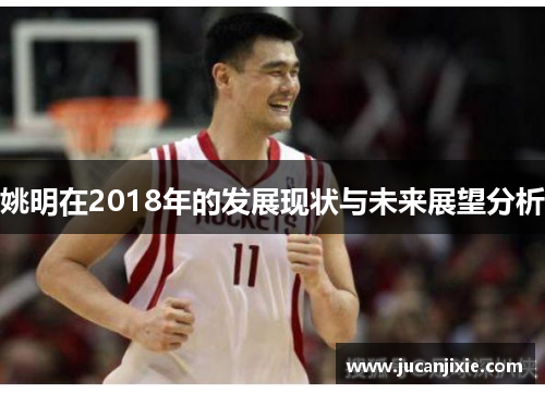 姚明在2018年的发展现状与未来展望分析