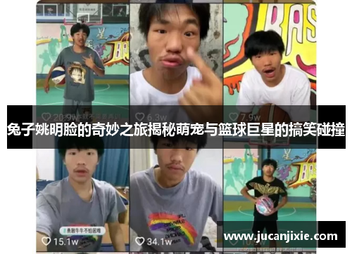 兔子姚明脸的奇妙之旅揭秘萌宠与篮球巨星的搞笑碰撞